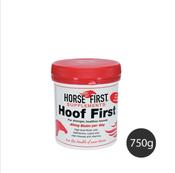 Horse First Hoof First image