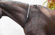 Mackey Classic Leather Neck Strap
