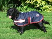 Mackey Buster Dog Rug image