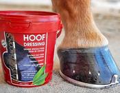 Kevin Bacon's Hoof Dressing 250ml
