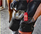 Kevin Bacon's Hoof Solution 150g