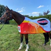 Ferdia Prize Rug