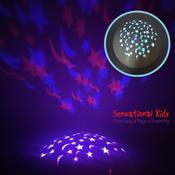 Night Sky Projector image