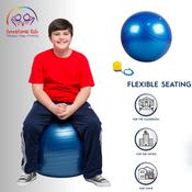 Gym Ball Yoga/Chair - 55cm image