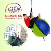 Suspended Pear Beanbag Swing