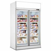 FREEZER 2 GLASS DOORS INS-1000F