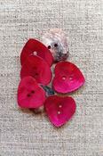 Heart-shaped shell buttons (23mm) - Pink image