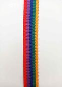 Polypropylene webbing, 25mm (choice of colours) - 25mm / Rainbow