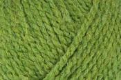Softie, chunky yarn - Fern image