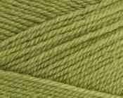 Life DK Yarn - fern