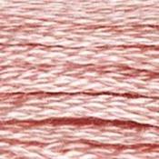 DMC Stranded Cotton: Plain - 224 image