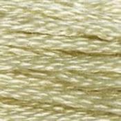 DMC Stranded Cotton: Plain - 3047 image