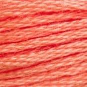 DMC Stranded Cotton: Plain - 3340 image