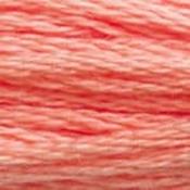 DMC Stranded Cotton: Plain - 3341 image