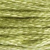 DMC Stranded Cotton: Plain - 3348 image