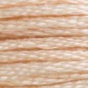 DMC Stranded Cotton: Plain - 3774 image