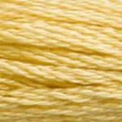DMC Stranded Cotton: Plain - 3822 image