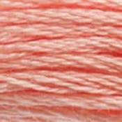 DMC Stranded Cotton: Plain - 3824 image