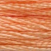 DMC Stranded Cotton: Plain - 3825 image