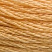 DMC Stranded Cotton: Plain - 3827 image