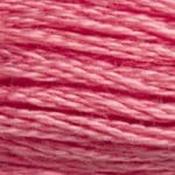 DMC Stranded Cotton: Plain - 3833 image