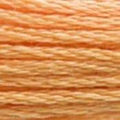 DMC Stranded Cotton: Plain - 3854 image