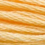 DMC Stranded Cotton: Plain - 3855 image