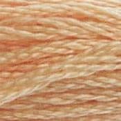 DMC Stranded Cotton: Plain - 3856 image