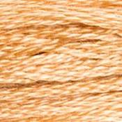 DMC Stranded Cotton: Plain - 437 image