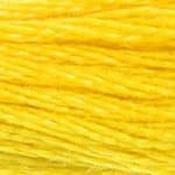 DMC Stranded Cotton: Plain - 444 image