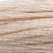 DMC Stranded Cotton: Plain - 543 image