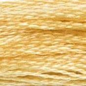 DMC Stranded Cotton: Plain - 676 image