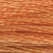 DMC Stranded Cotton: Plain - 721 image