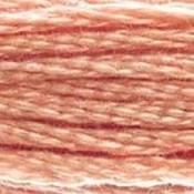DMC Stranded Cotton: Plain - 758 image