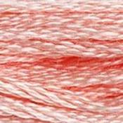 DMC Stranded Cotton: Plain - 761 image