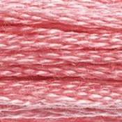 DMC Stranded Cotton: Plain - 899 image