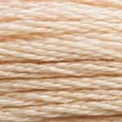 DMC Stranded Cotton: Plain - 945 image
