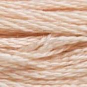 DMC Stranded Cotton: Plain - 950 image