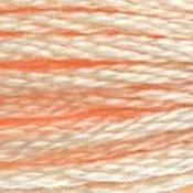 DMC Stranded Cotton: Plain - 951 image