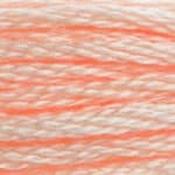 DMC Stranded Cotton: Plain - 967 image