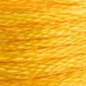 DMC Stranded Cotton: Plain - 972 image