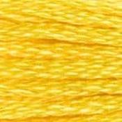 DMC Stranded Cotton: Plain - 973 image