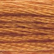 DMC Stranded Cotton: Plain - 976 image