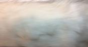 BZ Faux Fur Trim