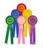 One-Tier Elizabethan Pleat Rosette Pack 1st-6th