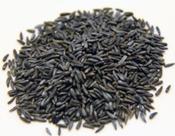 Johnson &amp; Jeff Niger Seed for Wild Birds - 1kg image