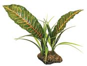 Komodo Tropical Canopy - 31cm image