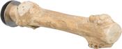 Trixie Coffee Wood Perch - 20cm image