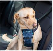 Company of Animals Clix Collision Tested Car Safe Harness - Small image