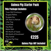 Essential Guinea Pig Pack image